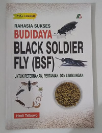 RAHASIA SUKSES BUDIDAYA BLACK SOLDIER FLY (BSF)